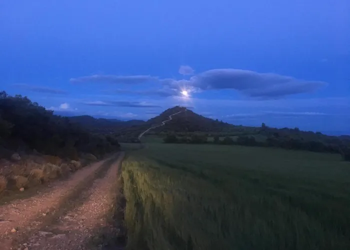 Casa Nasiet Hotell *